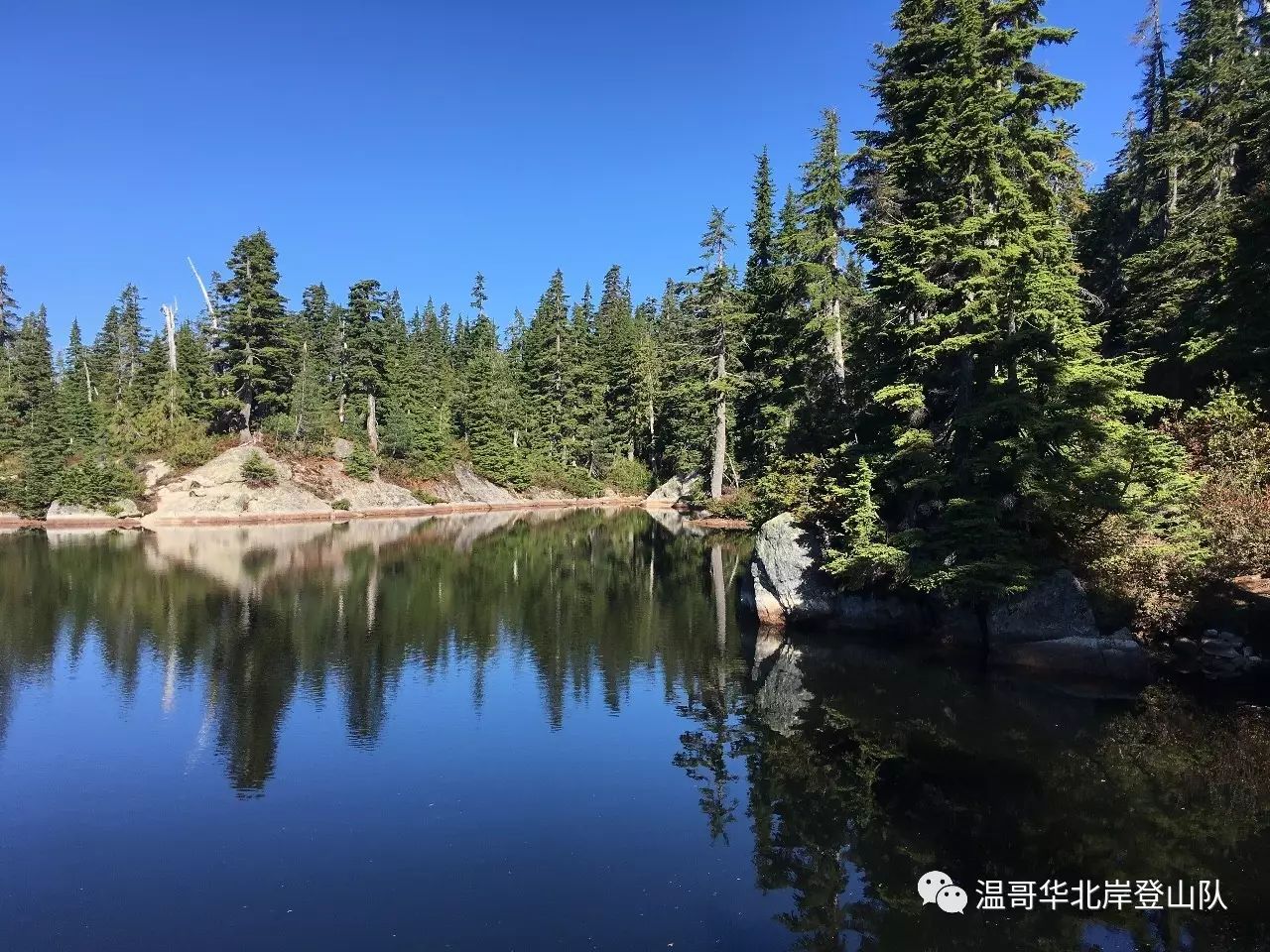 AYX游戏入口-关于海滨雪豹队鏖战漠南暴熊队，马拉松热身赛火力全开，转换速度占优。技战术储备厚实的信息